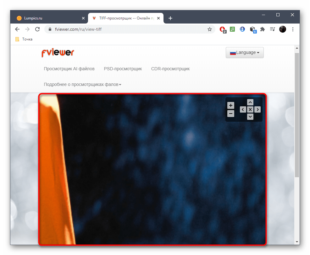 Ручное масштабирование изображения при просмотре через онлайн-сервис Fviewer