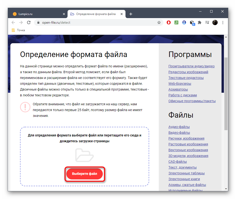 Переход к выбору файла для определения его формата через онлайн-сервис Open File