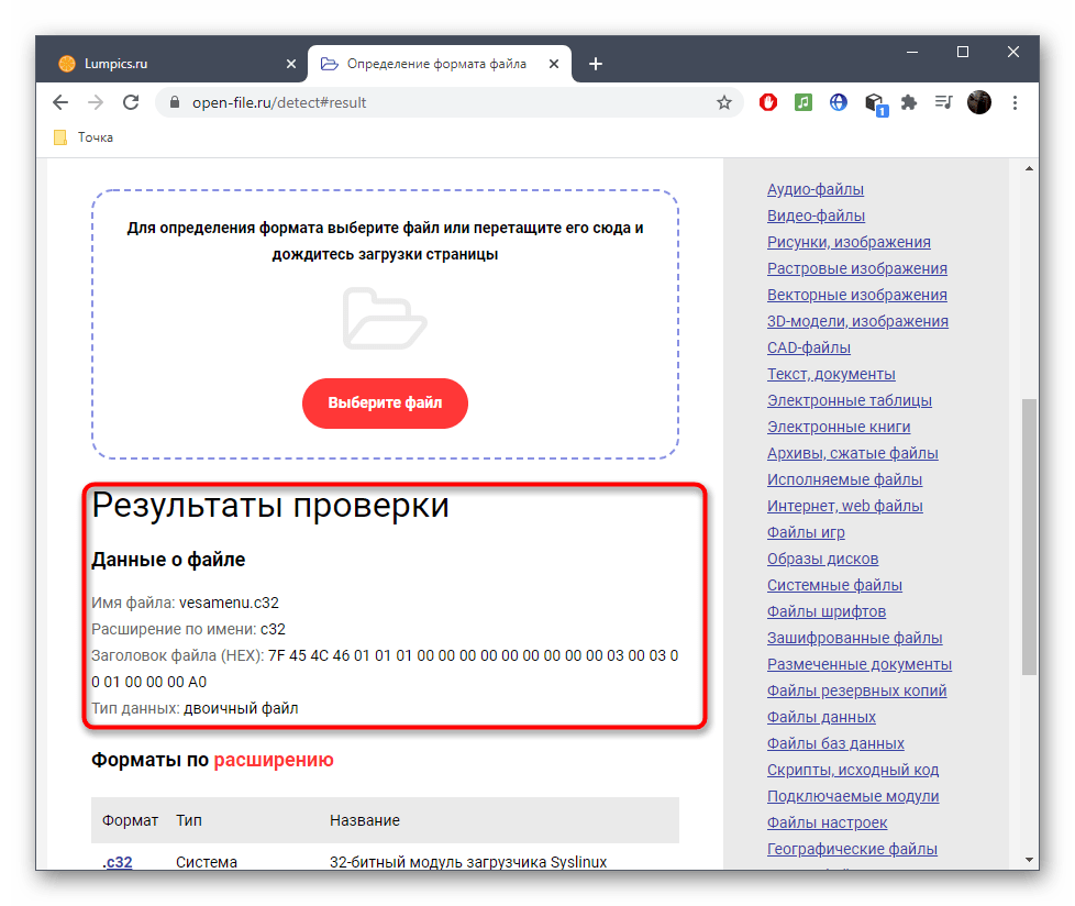 Успешное определение формата файла через онлайн-сервис Open File