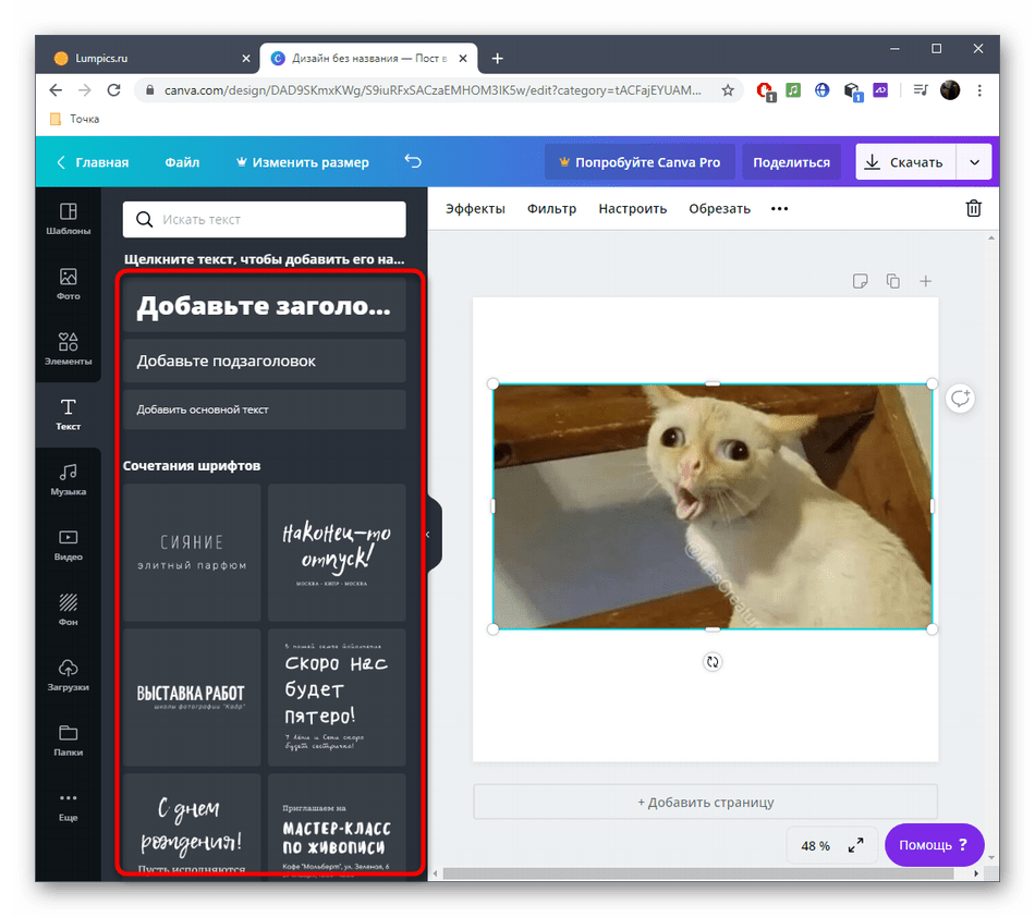 Добавление текста для мема через онлайн-сервис Canva