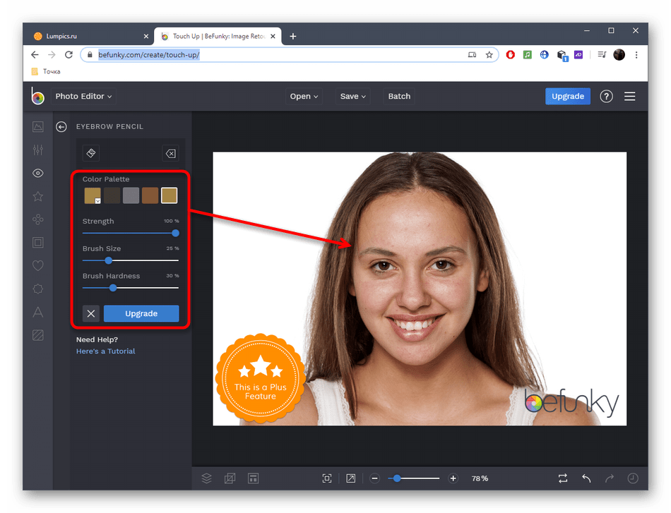 Настройка инструмента для редактирования лица на фото через онлайн-сервис BeFunky
