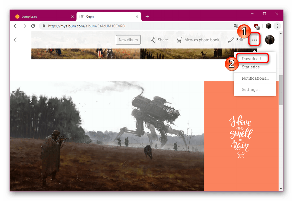 Скачивание отдельной фотографии с сайта MyAlbum