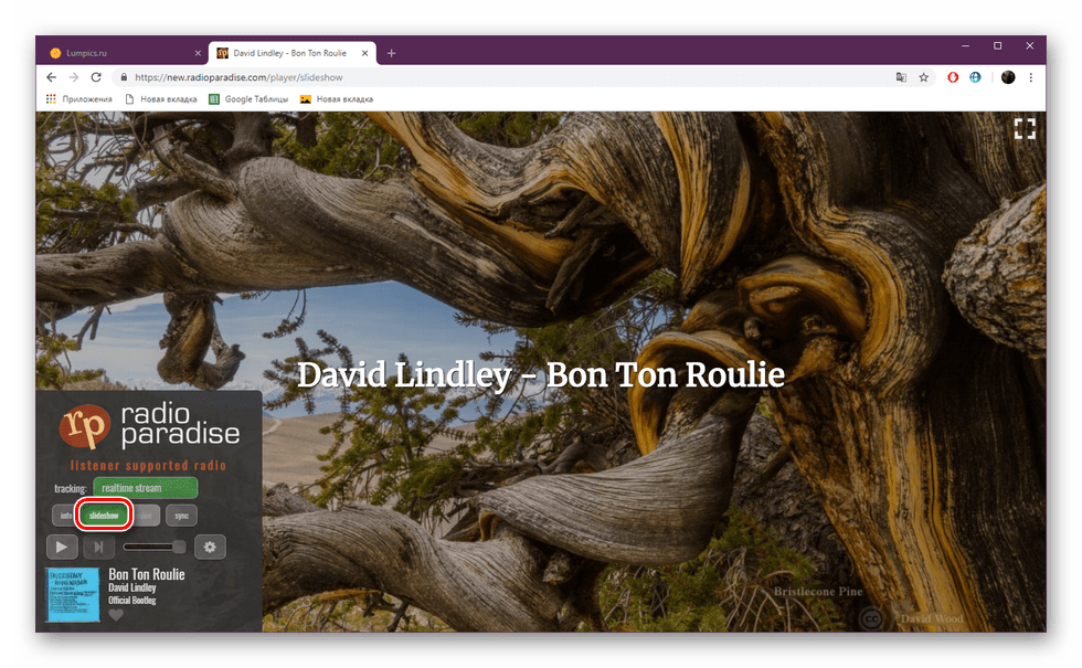 Режим слайд-шоу на сайте Radio Paradise