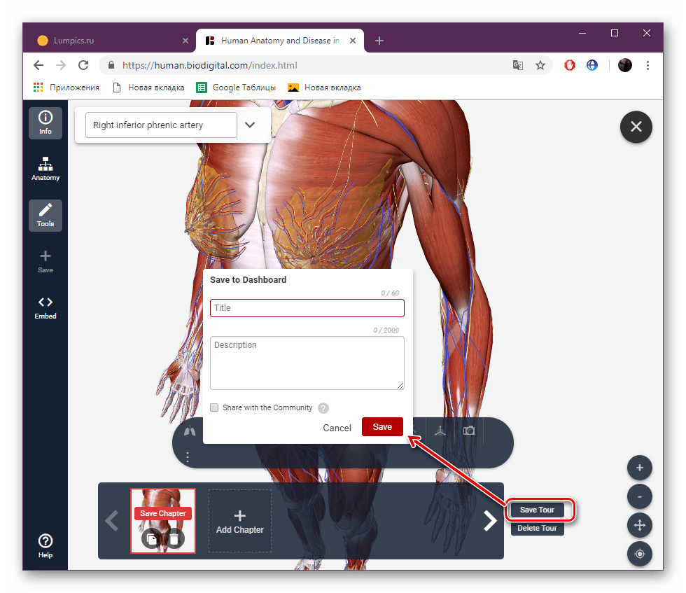 Сохранить презентацию на сайте BioDigital