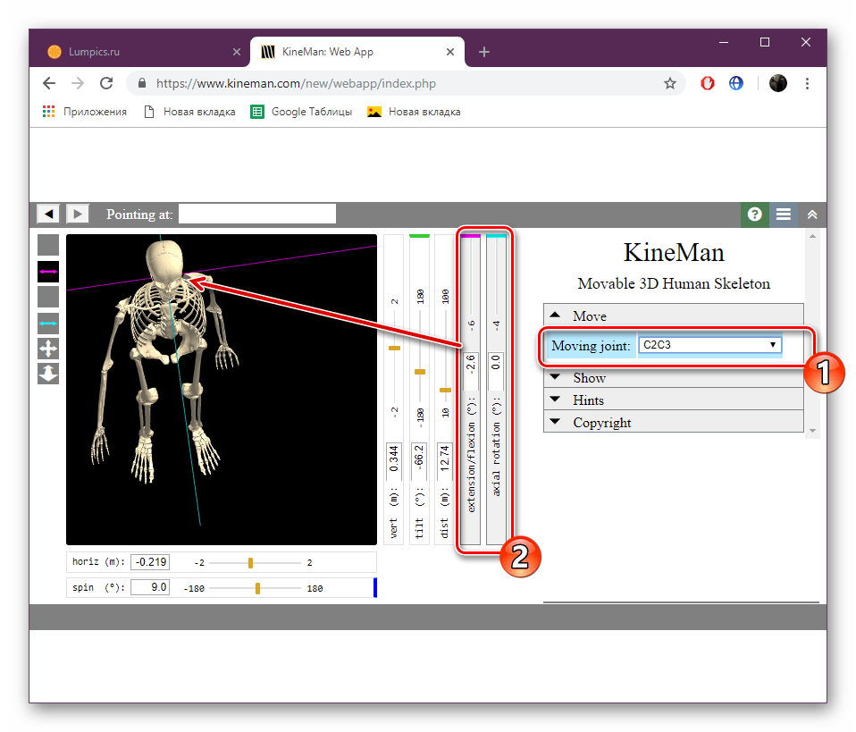 Включить отображение отдельными частями скелета на сайте KineMan