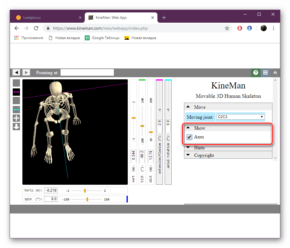 Отображение линий управления скелетом на сайте KineMan