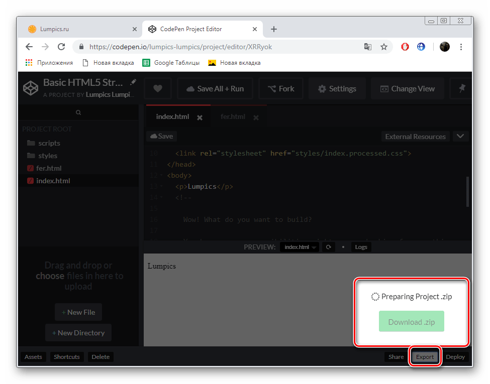 Подготовка проекта для скачивания CodePen