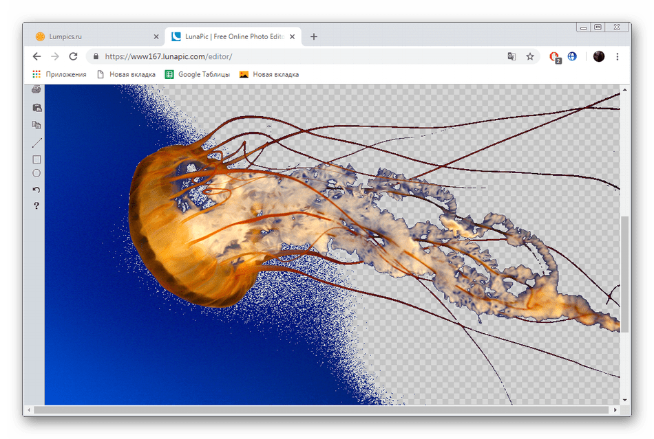 Результат удаления фона на сайте LunaPic