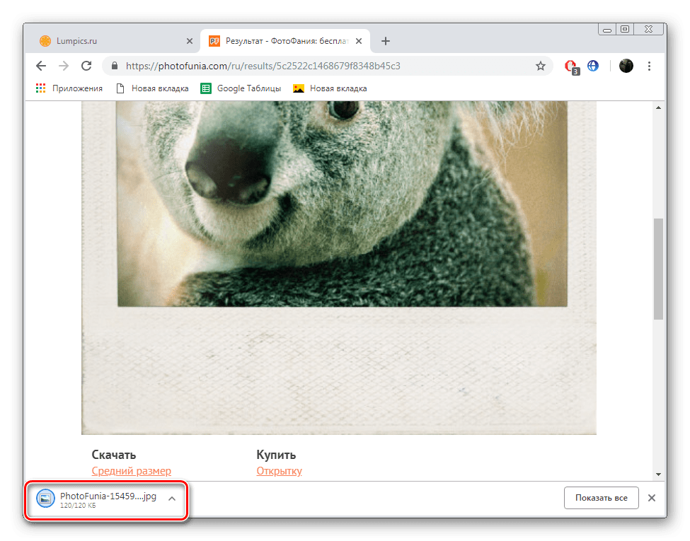 Открыть скачанное изображение с сайта ФотоФания