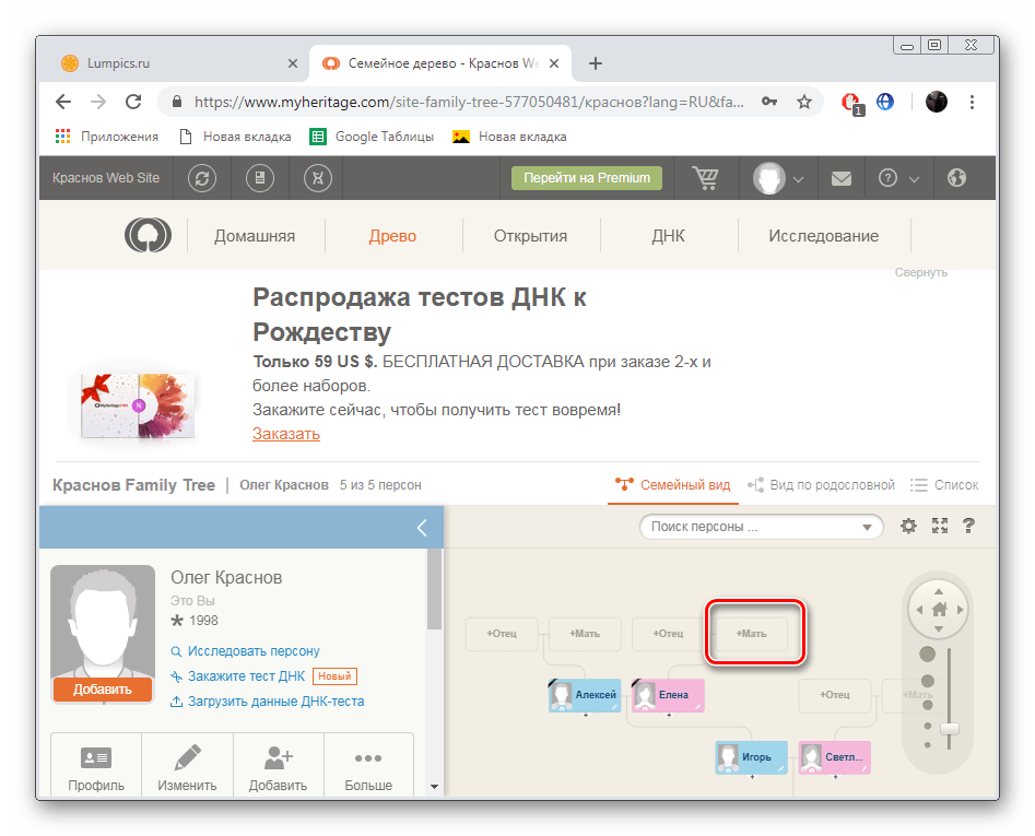 Добавить персону в древо на сайте MyHeritage