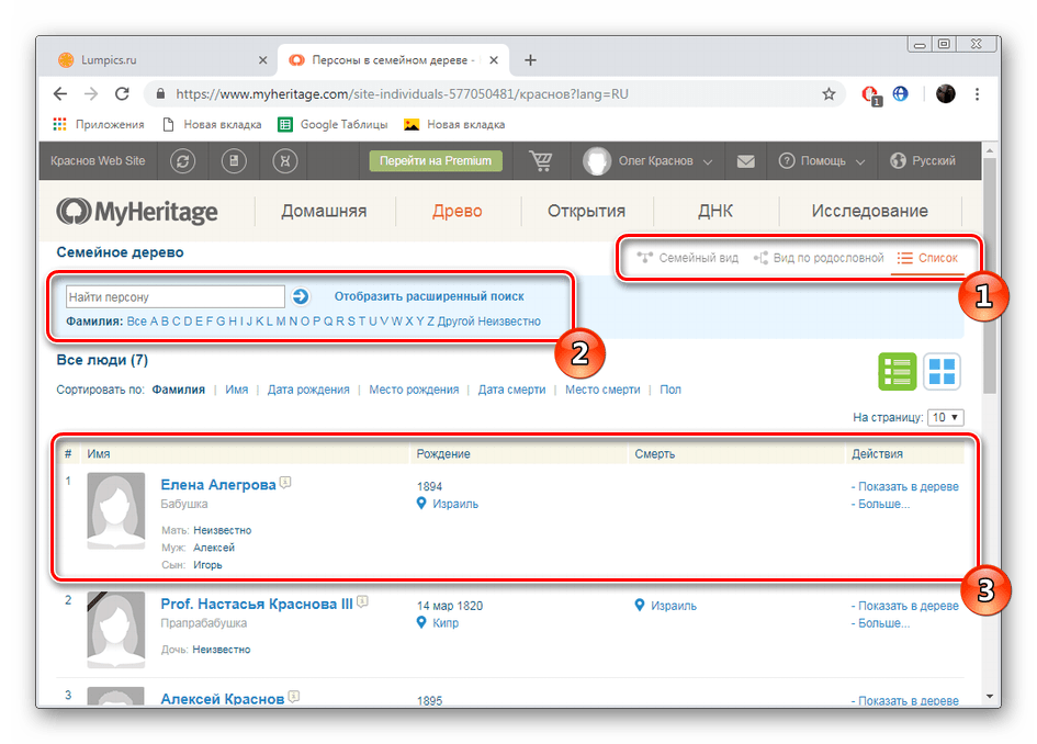 Отображение древа на сайте MyHeritage
