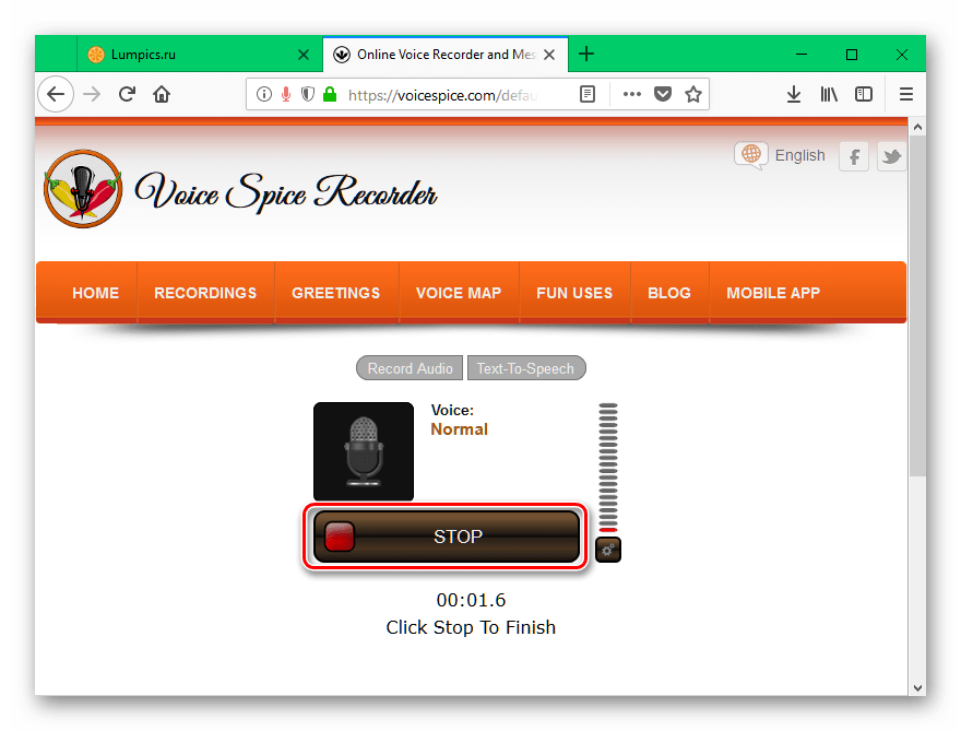 Кнопка прекращения записи аудифайла на сайте Voicespice.com