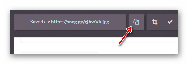 Копируем ссылку на готовый скриншот в сервисе Snaggy
