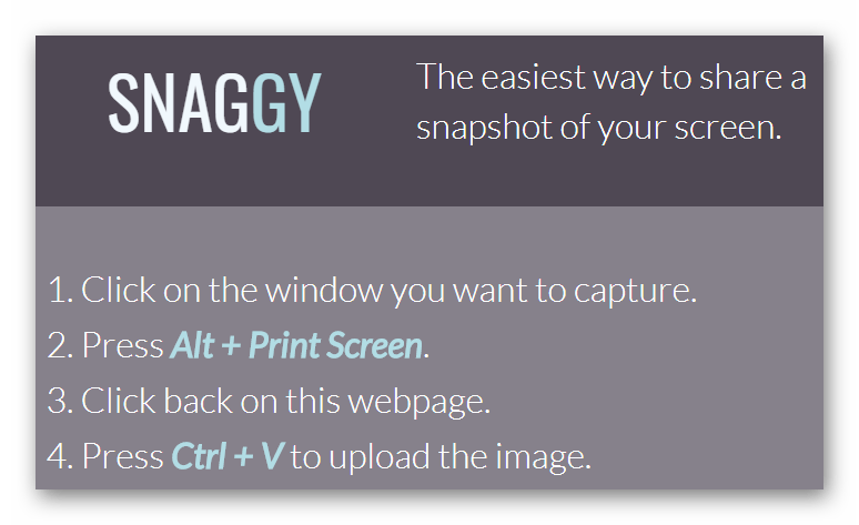 Инструкция по работе с Snaggy