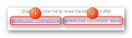 Кнопки сохранения на компьютер обработанного и исходных изображений на сервисе Colorize Black