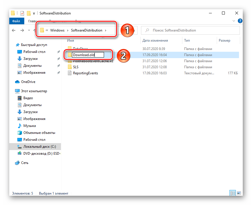 Процесс переименования директории SoftwareDistribution в Windows 10