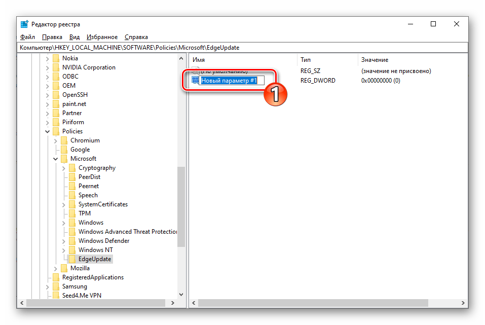 Microsoft Edge Chromium Редактор реестра переименование созданного в разделе EdgeUpdate параметра