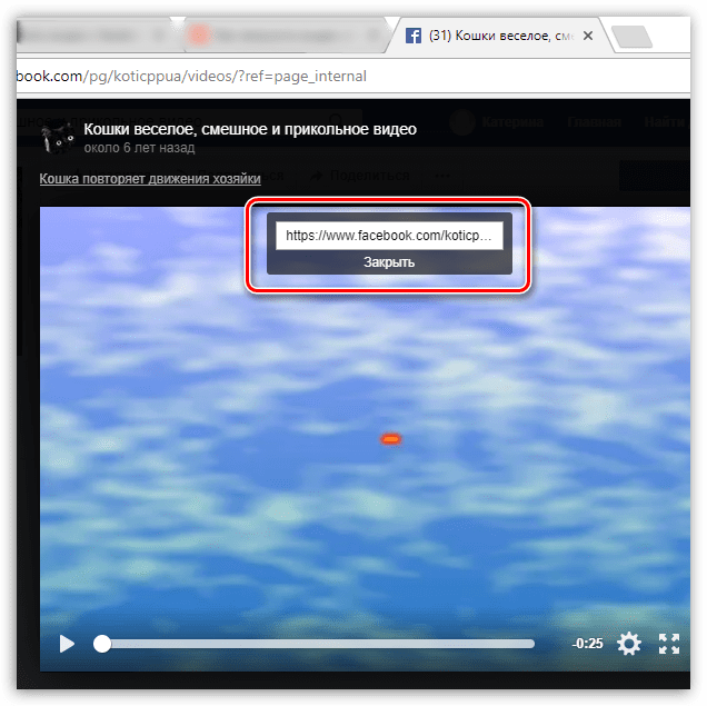 Копирование URL-адреса видео с Facebook