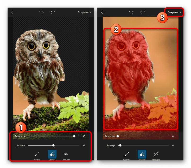 Успешное удаление фона на изображении в приложении PicsArt