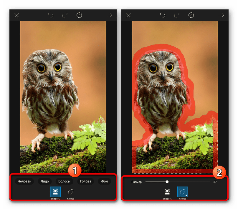 Процесс удаления фона на изображении в приложении PicsArt
