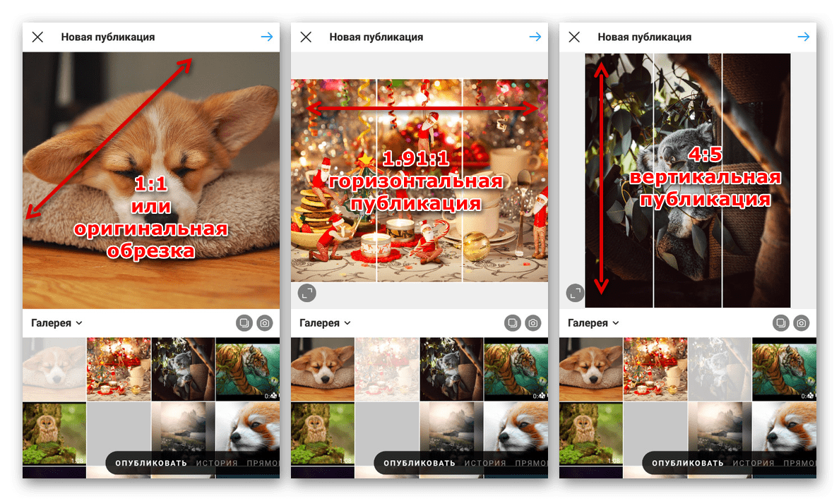 Пример различных шаблонов публикаций в мобильном приложении Instagram