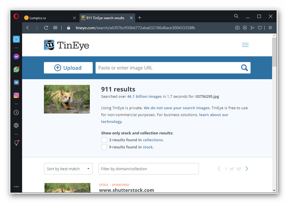 Пример успешного поиска по изображению на веб-сайте поиска TinEye
