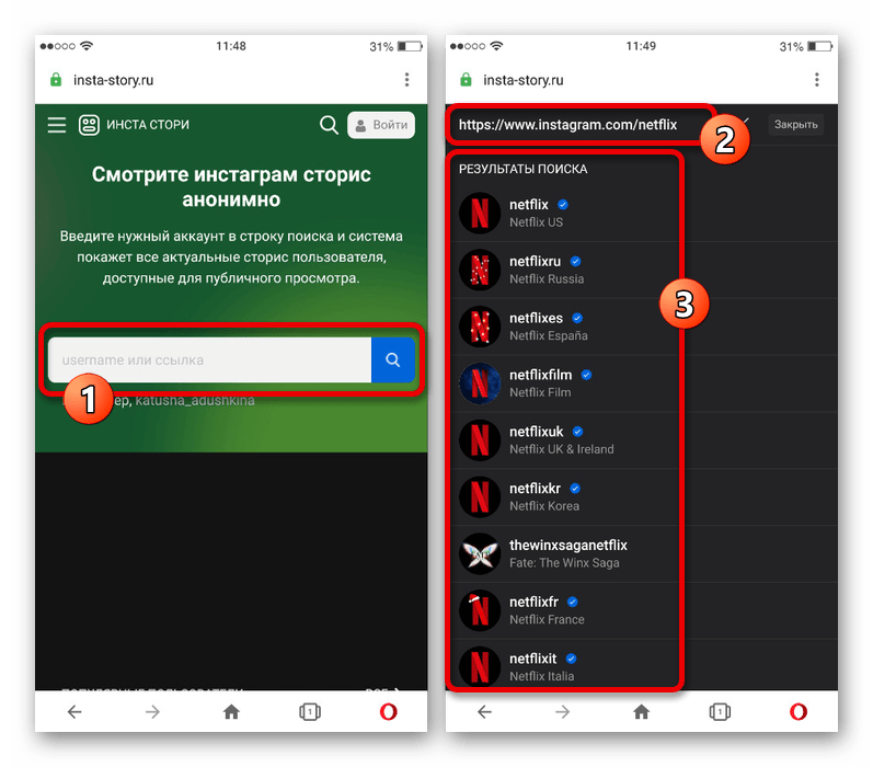 Поиск пользователя в Instagram на веб-сайте Инста Стори