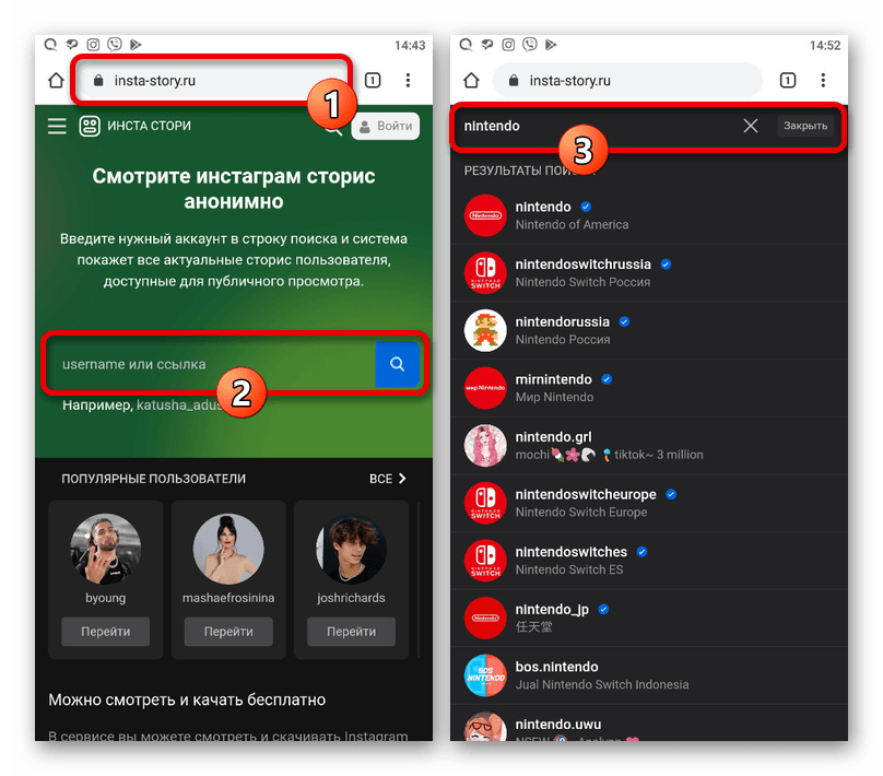 Процесс поиска учетной записи из Instagram на сайте Инста Стори