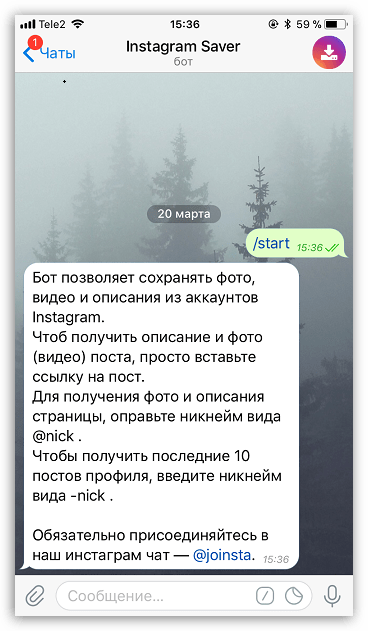 Инструкция по использованию бота Instagram Saver в Telegram