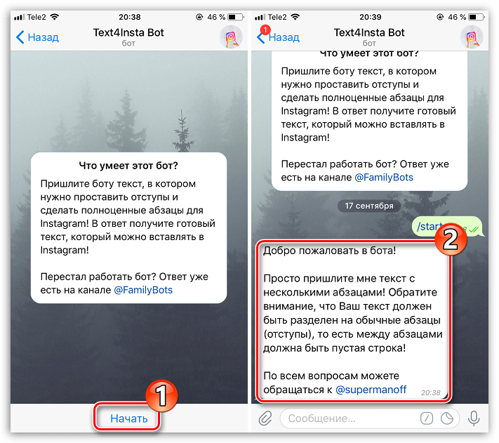 Начало работы с Telegram-ботом