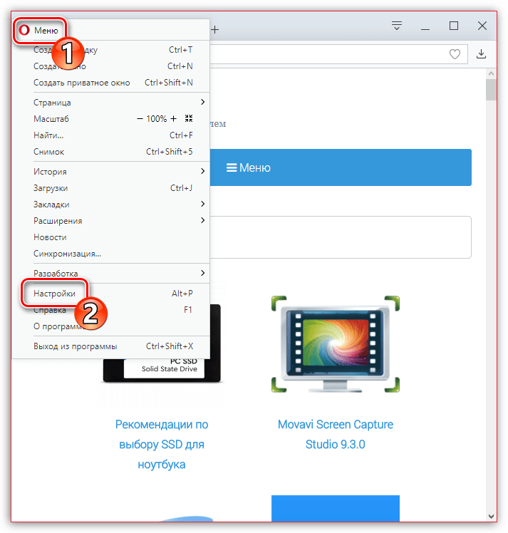 Настройки браузера Opera