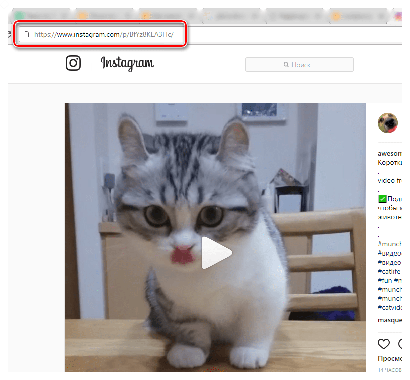 Копирование ссылки на видео с сайта сервиса Instagram