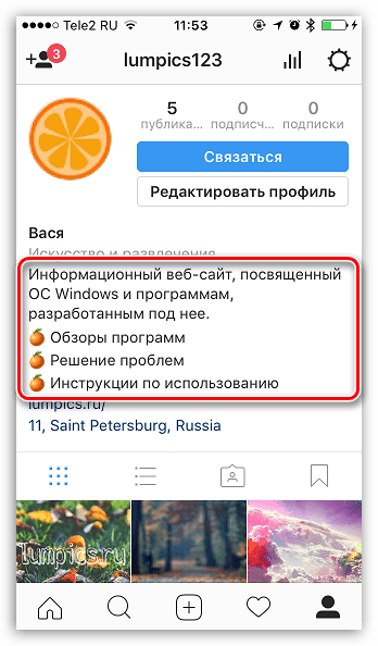 Структурированное описание профиля в Instagram