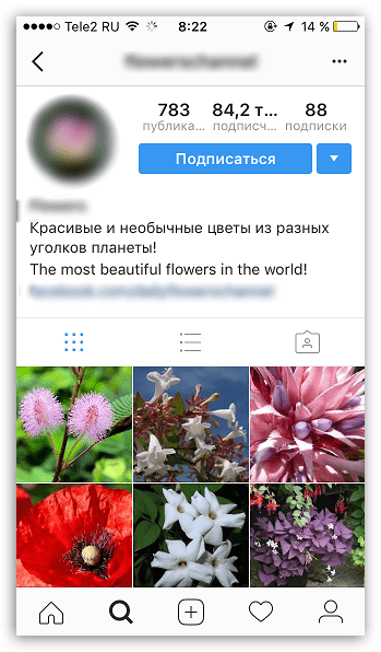 Подписка на открытую страницу в Instagram