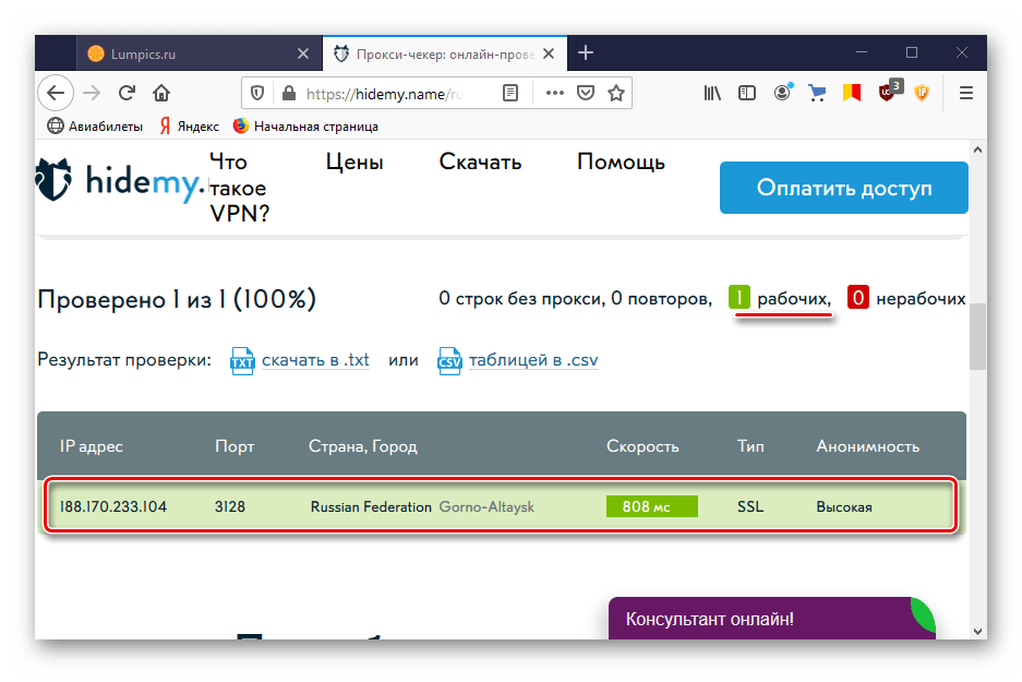 Результат проверки прокси на HideMy.name