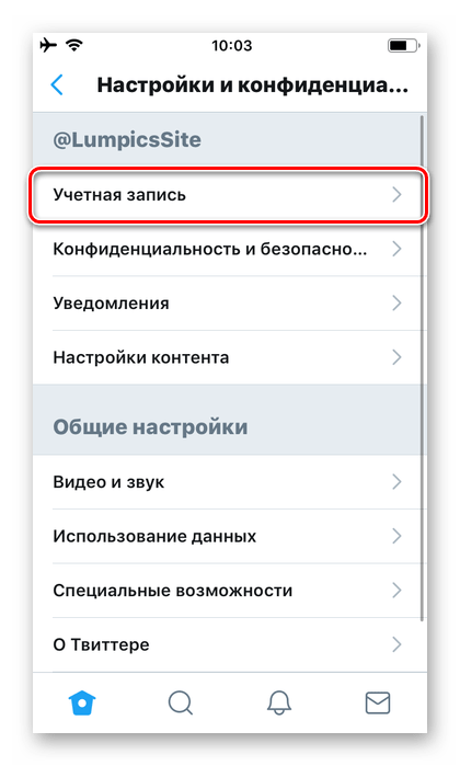 Параметры учетной записи в приложении Twitter для iPhone