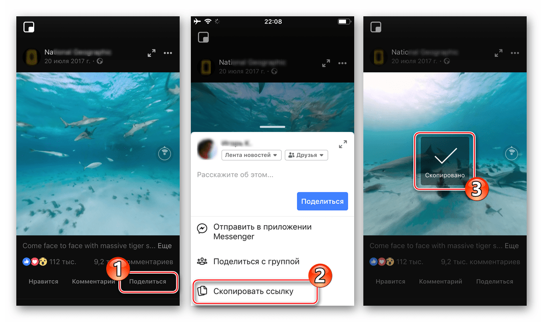 Facebook для iOS копирование ссылки на видео в соцсети для скачивания в iPhone