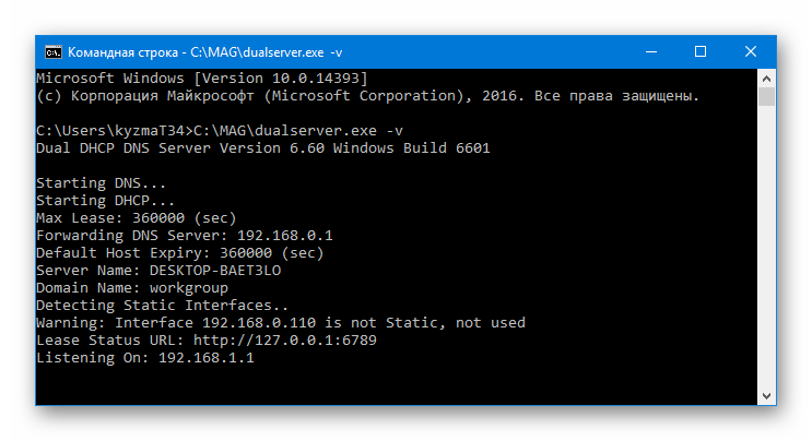 MAG 250 Командная строка DHCP-сервер запущен