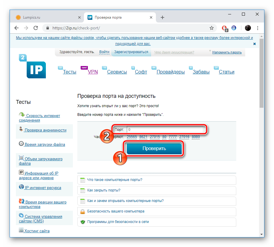 Запустить проверку порта на сайте 2IP.ru