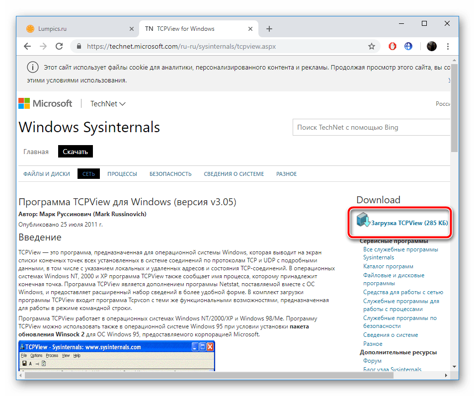 Скачать утилиту TCPView с официального сайта