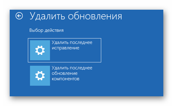 Выбор типа установленных обновлений для их очистки в Windows 10