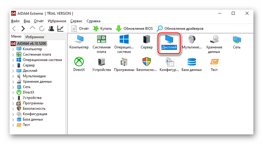 Переход в раздел Дисплей в программе AIDA64 в Windows 10