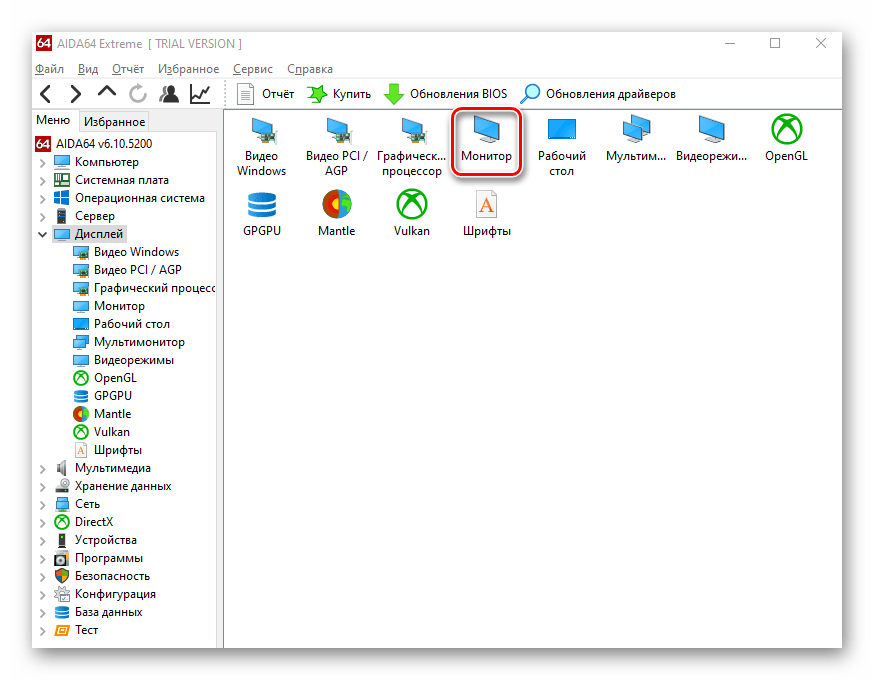 Переход в раздел Монитор в программе AIDA64 в Windows 10