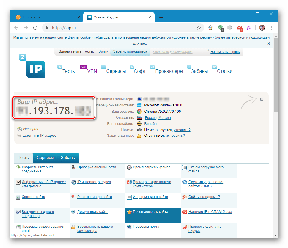 Проверка значения IP-адреса с помощью онлайн сервиса