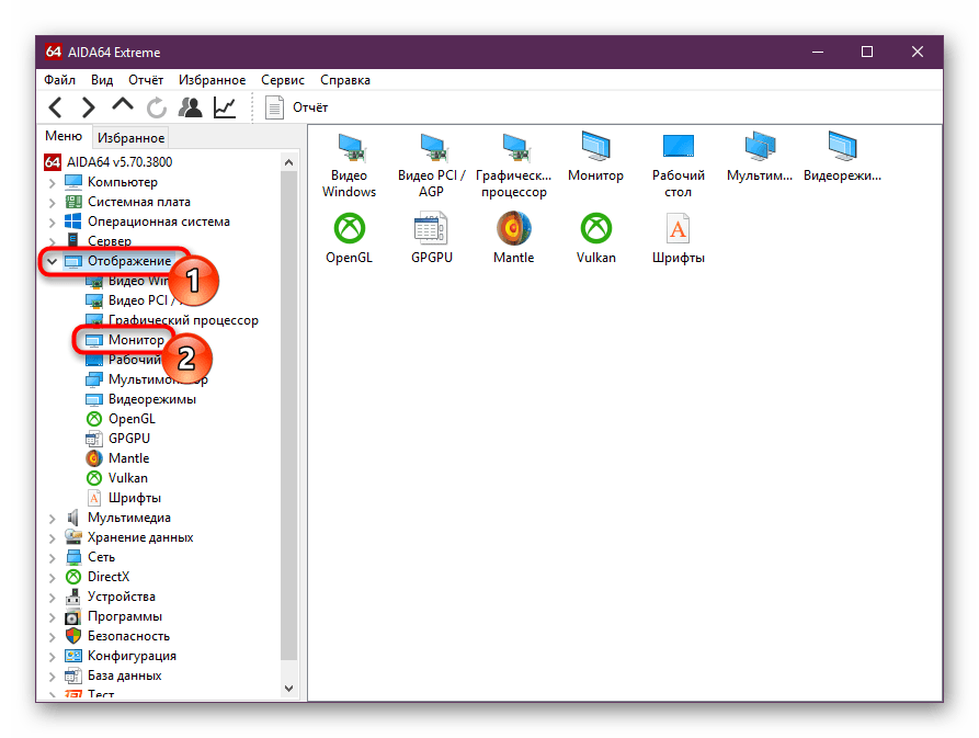Переключение на вкладку Монитор в AIDA64