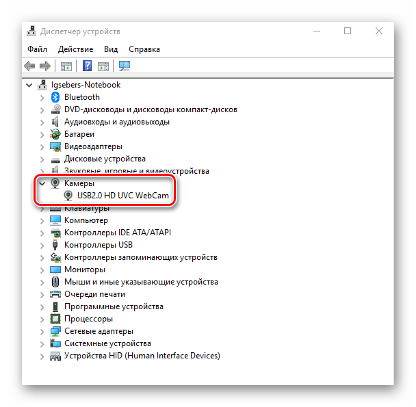 Раздел Камеры в Диспетчере устройств