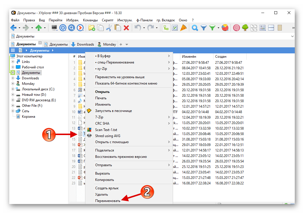 Выбор пункта переименования для изменения формата файла в программе XYplorer в виндовс 10