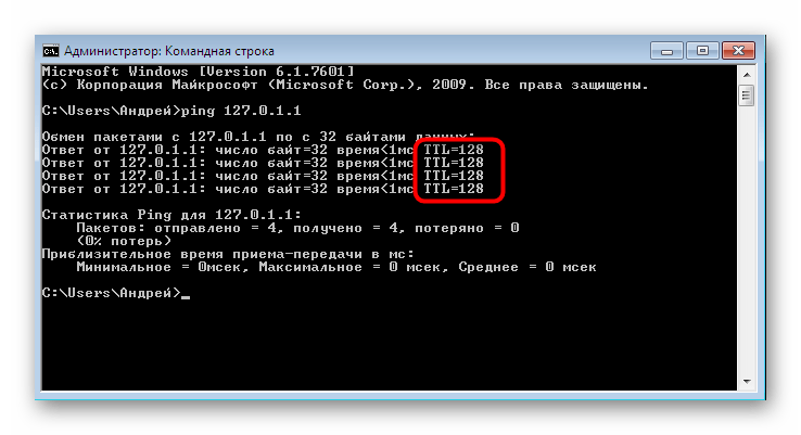 Результаты проверки сети и вывод значения TTL в Windows 7