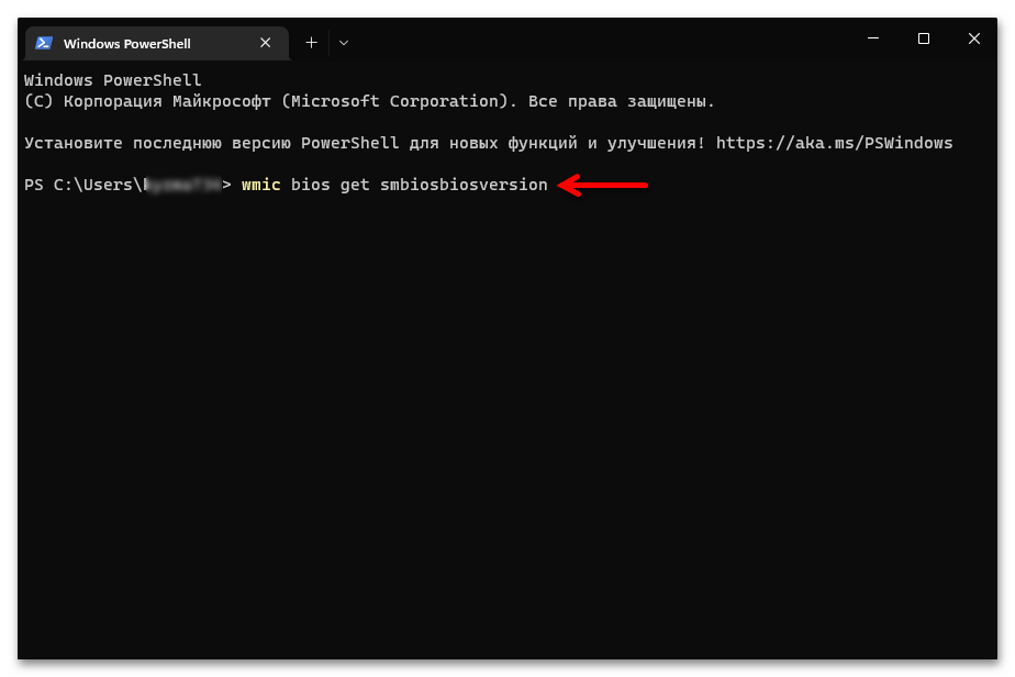 Как узнать версию БИОС в Windows 11 15
