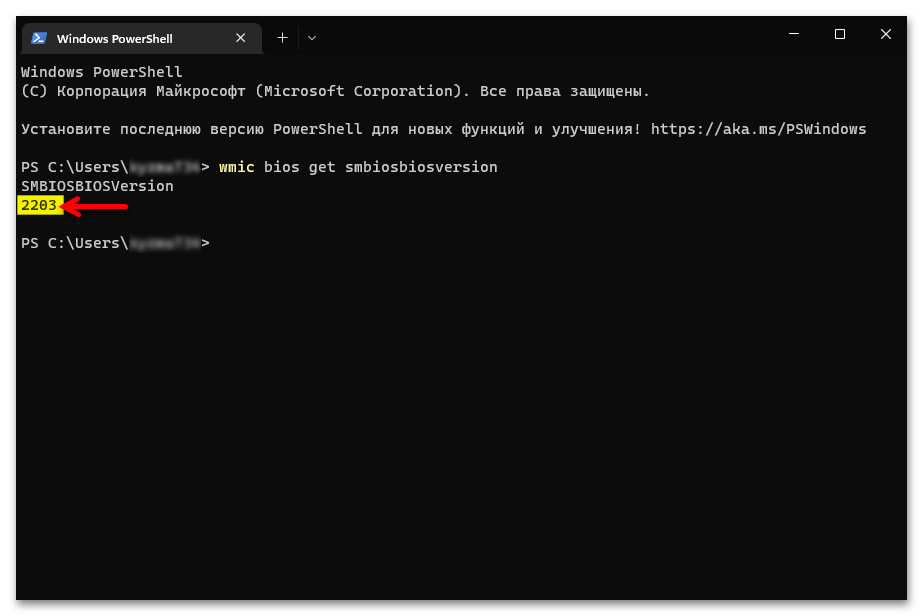 Как узнать версию БИОС в Windows 11 16